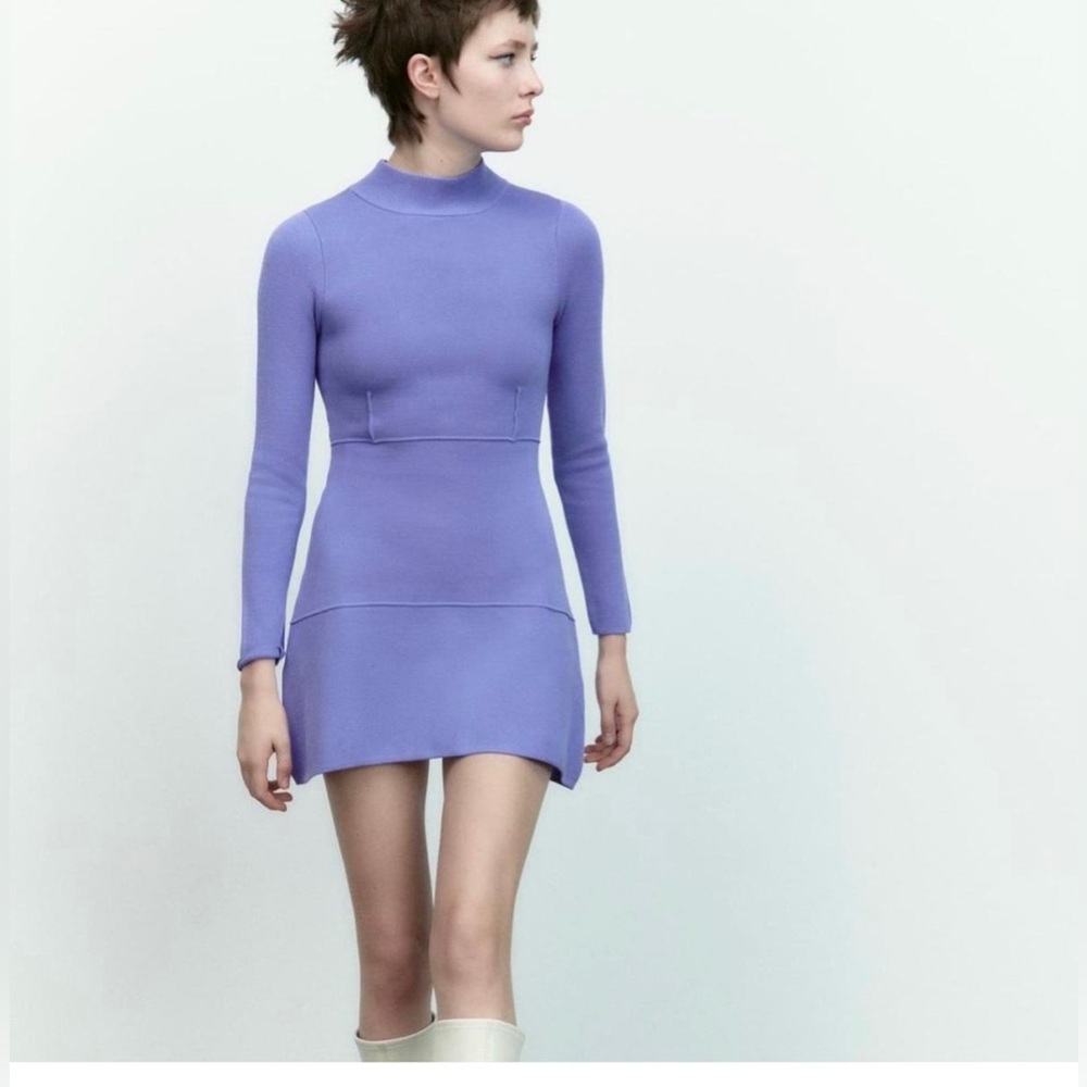Zara Periwinkle Long Sleeve Dress